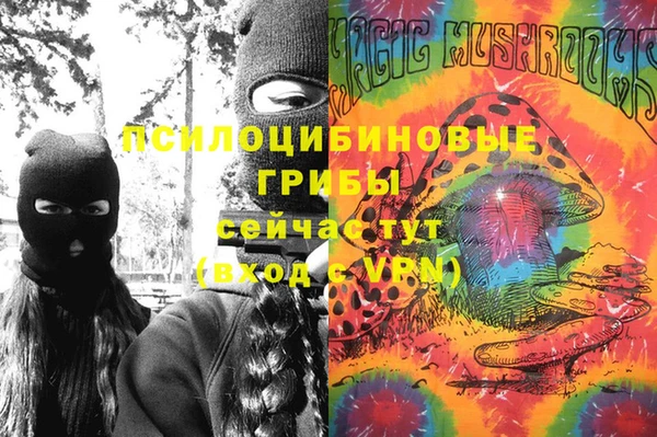 первитин Алексин