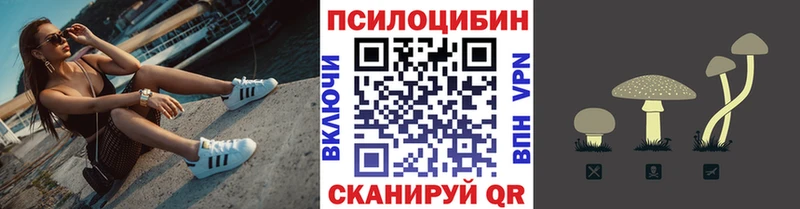 Галлюциногенные грибы прущие грибы  omg зеркало  Вологда  купить наркотики цена 